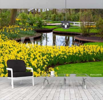 Picture of Flowerbed with yellow daffodil flowers blooming in keukenhof spring garden and river view